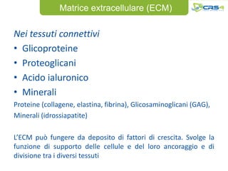 Matrice extracellulare (ECM)

Nei tessuti connettivi
• Glicoproteine
• Proteoglicani
• Acido ialuronico
• Minerali
Proteine (collagene, elastina, fibrina), Glicosaminoglicani (GAG),
Minerali (idrossiapatite)

L’ECM può fungere da deposito di fattori di crescita. Svolge la
funzione di supporto delle cellule e del loro ancoraggio e di
divisione tra i diversi tessuti
 
