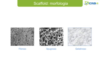 Scaffold: morfologia




Fibroso          Spugnoso        Gelatinoso
 