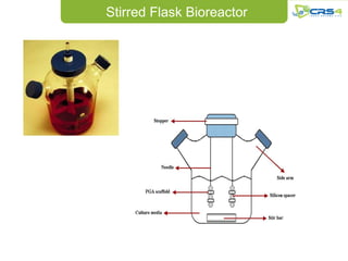 Stirred Flask Bioreactor
 