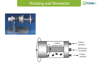 Rotating wall Bioreactor
 