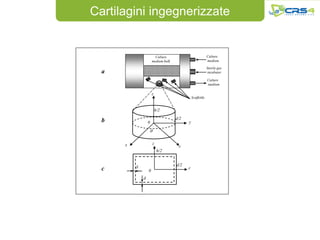 Cartilagini ingegnerizzate


                        Culture                           Culture
                      medium bulk                         medium

                                                          Sterile gas
  a                                                        incubator

                                                          Culture
                                                          medium

                      z
                                              Scaffolds


                          h/2
                                    d/2
  b               0                       y

                  q

      x               z
                                     r
                           h/2


          d                         d/2
  c               0
                                          r

              d
 