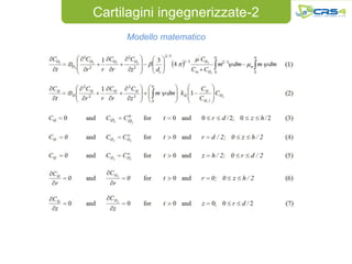 Cartilagini ingegnerizzate-2
     Modello matematico
 
