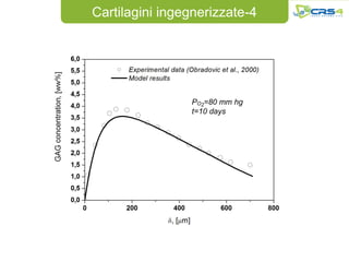 Cartilagini ingegnerizzate-4




                PO2=80 mm hg
                t=10 days
 