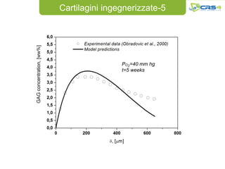 Cartilagini ingegnerizzate-5




                PO2=40 mm hg
                t=5 weeks
 