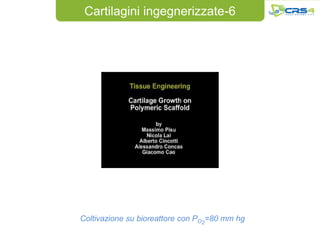 Cartilagini ingegnerizzate-6




Coltivazione su bioreattore con PO2=80 mm hg
 