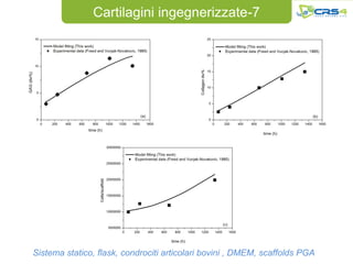 Cartilagini ingegnerizzate-7




Sistema statico, flask, condrociti articolari bovini , DMEM, scaffolds PGA
 