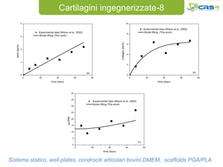 Cartilagini ingegnerizzate-8




Sistema statico, well plates, condrociti articolari bovini,DMEM, scaffolds PGA/PLA
 