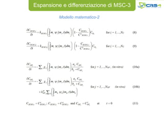 Espansione e differenziazione di MSC-3

          Modello matematico-2
 