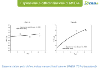 Espansione e differenziazione di MSC-4




Sistema statico, petri dishes, cellule mesenchimali umane, DMEM, TGF-b superfamily
 