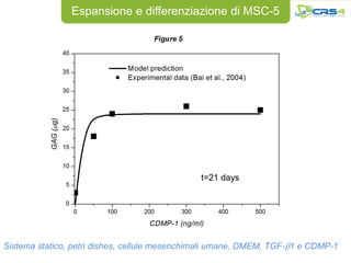 Espansione e differenziazione di MSC-5




                                               t=21 days




Sistema statico, petri dishes, cellule mesenchimali umane, DMEM, TGF-b1 e CDMP-1
 
