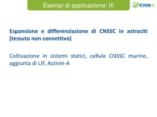 Esempi di applicazione: III



Espansione e differenziazione di CNSSC in astrociti
(tessuto non connettivo)

Coltivazione in sistemi statici, cellule CNSSC murine,
aggiunta di LIF, Activin-A
 