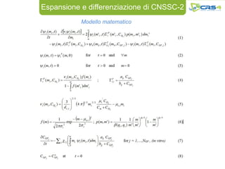 Espansione e differenziazione di CNSSC-2
           Modello matematico
 