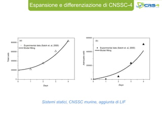 Espansione e differenziazione di CNSSC-4




    Sistemi statici, CNSSC murine, aggiunta di LIF
 