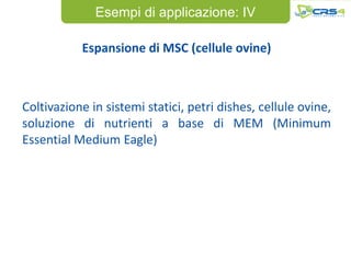 Esempi di applicazione: IV

           Espansione di MSC (cellule ovine)



Coltivazione in sistemi statici, petri dishes, cellule ovine,
soluzione di nutrienti a base di MEM (Minimum
Essential Medium Eagle)
 
