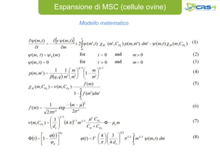 Espansione di MSC (cellule ovine)

       Modello matematico
 