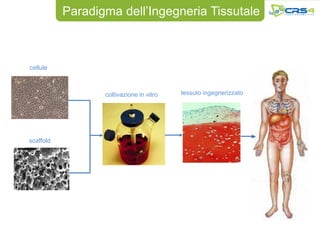 Paradigma dell’Ingegneria Tissutale



cellule



                  coltivazione in vitro   tessuto ingegnerizzato




scaffold
 