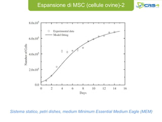 Espansione di MSC (cellule ovine)-2




Sistema statico, petri dishes, medium Minimum Essential Medium Eagle (MEM)
 
