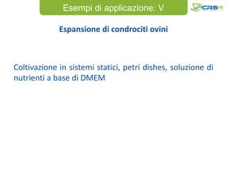 Esempi di applicazione: V

             Espansione di condrociti ovini



Coltivazione in sistemi statici, petri dishes, soluzione di
nutrienti a base di DMEM
 