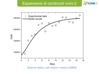 Espansione di condrociti ovini-2




  Sistema statico, petri dishes, medium DMEM
 