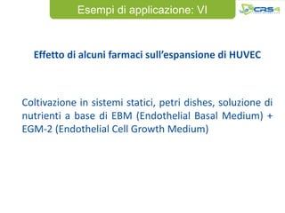 Esempi di applicazione: VI



  Effetto di alcuni farmaci sull’espansione di HUVEC



Coltivazione in sistemi statici, petri dishes, soluzione di
nutrienti a base di EBM (Endothelial Basal Medium) +
EGM-2 (Endothelial Cell Growth Medium)
 
