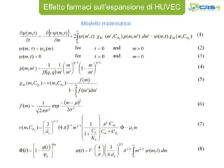 Effetto farmaci sull’espansione di HUVEC

          Modello matematico
 