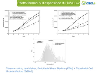 Effetto farmaci sull’espansione di HUVEC-2




Sistema statico, petri dishes, Endothelial Basal Medium (EBM) + Endothelial Cell
Growth Medium (EGM-2)
 