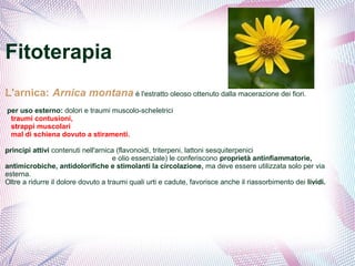 Fitoterapia 
L'arnica: Arnica montana è l'estratto oleoso ottenuto dalla macerazione dei fiori. 
per uso esterno: dolori e traumi muscolo-scheletrici 
traumi contusioni, 
strappi muscolari 
mal di schiena dovuto a stiramenti. 
principi attivi contenuti nell'arnica (flavonoidi, triterpeni, lattoni sesquiterpenici 
e olio essenziale) le conferiscono proprietà antinfiammatorie, 
antimicrobiche, antidolorifiche e stimolanti la circolazione, ma deve essere utilizzata solo per via 
esterna. 
Oltre a ridurre il dolore dovuto a traumi quali urti e cadute, favorisce anche il riassorbimento dei lividi. 
 