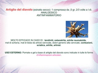 Artiglio del diavolo (estratto secco): 1 compressa da ,5 gr, 2/3 volte a l dì. 
ANALGESICO 
ANTINFIAMMATORIO 
MOLTO EFFICACE IN CASO DI : tendiniti, osteoatrite, artrite reumatoide, 
mal di schiena, mal di testa da artrosi cervicale, dolori generici alla cervicale, contusioni, 
sciatica, artrite, artrosi. 
USO ESTERNO: Pomate e gel a base di artiglio del diavolo sono indicate in tutte le forme 
d’infiammazioni articolari. 
 
