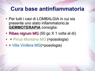 Cura base antinfiammatoria 
● Per tutti i casi di LOMBALGIA in cui sia 
presente uno stato infiammatorio,la 
GEMMOTERAPIA consiglia: 
● RRiibbeess nniiggrruumm MMGG (50 gc X 1 volta al dì) 
● + Pinus Montana MG (=posologia) 
● + Vitis Vinifera MG(=posologia) 
 