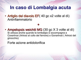In caso di Lombalgia acuta 
● AArrttiigglliioo ddeell ddiiaavvoolloo EEFF( 40 gc x2 volte al dì) 
Antinfiammatorio 
++ 
● AAmmppeellooppssiiss wweeiicchhttiiii MMGG (30 gc X 3 volte al dì) 
Si utilizza anche quando la lombalgia si accompagna a 
Coxartrosi (Artrosi al collo del femore) o Gonartrosi ( Artrosi del 
ginocchio) 
Forte azione antidolorifica 
 