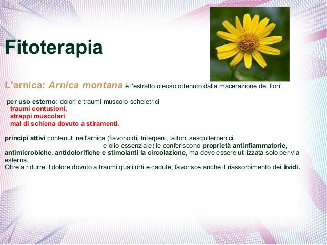 Argilla verde antinfiammatorio ginocchio