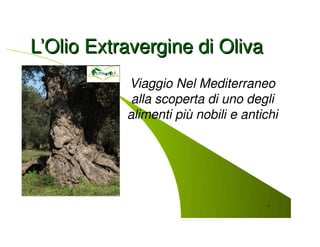 L’Olio Extravergine di Oliva
           Viaggio Nel Mediterraneo
            alla scoperta di uno degli
           alimenti più nobili e antichi




                                      1
 