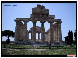 Tempio di Cerere.




                    20 secondi
 