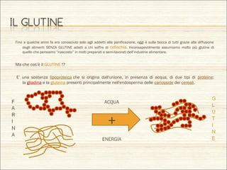 Fino a qualche anno fa era conosciuto solo agli addetti alla panificazione, oggi è sulla bocca di tutti grazie alla diffusione
degli alimenti SENZA GLUTINE adatti a chi soffre di celiachia. Inconsapevolmente assumiamo molto più glutine di
quello che pensiamo “nascosto” in molti preparati e semi-lavorati dell’industria alimentare.
Ma che cos’è il GLUTINE !?
 E’ una sostanza lipoproteica che si origina dall'unione, in presenza di acqua, di due tipi di proteine:
la gliadina e la gluteina presenti principalmente nell'endosperma delle cariosside dei cereali.
ACQUA
ENERGIA
+
 