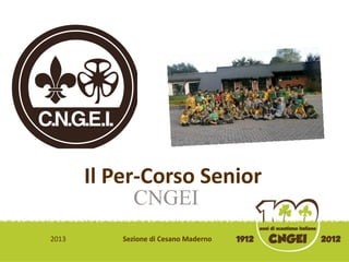 Il Per-Corso Senior
CNGEI

2013

Sezione di Cesano Maderno

 