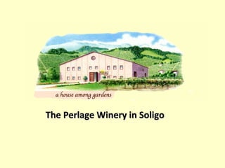 The Perlage Winery in Soligo 