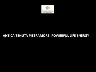 ANTICA TENUTA PIETRAMORE: POWERFUL LIFE ENERGY
 