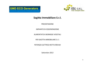 GMD ECO Generators
Impianti di cogenerazione a bioliquidi e biomassa




                                       Sagitta Immobiliare S.r.l.

                                                    PRESENTAZIONE

                                           IMPIANTO DI COGENERAZIONE

                                        ALIMENTATO A BIOMASSE VEGETALI

                                          PER SAGITTA IMMOBILIARE S.r.l.

                                        POTENZA ELETTRICA NETTA 990 kW



                                                    Settembre 2012


                                                                           1
 