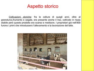 Aspetto storico
Coltivazioni storiche: fra le colture di quegli anni, oltre al
granoturco,frumento e segale, era presente anche il riso, coltivato in risaia
stabile però questo prodotto era scarso e mediocre. I proprietari già nell’800
furono i primi che introdussero l’allevamento e la lavorazione del latte.
 