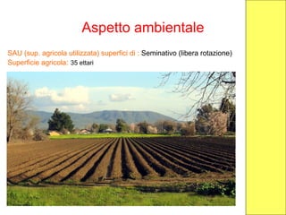 Aspetto ambientale
SAU (sup. agricola utilizzata) superfici di : Seminativo (libera rotazione)
Superficie agricola: 35 ettari
 