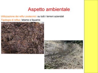 Aspetto ambientale
Utilizzazione dei reflui zootecnici: su tutti i terreni aziendali
Tipologia di refluo: letame e liquame
 