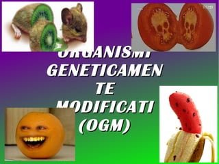 ORGANISMI
GENETICAMEN
     TE
 MODIFICATI
   (OGM)
 