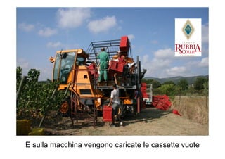 E sulla macchina vengono caricate le cassette vuote
 