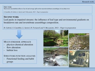 Research works	


FIRST WORK 	

Short-term microhabitat effects of an oil and sewage spill on the macroinvertebrate assemblages of an urban river	

	

S. Canobbio, R. Cabrini, L. Sartori and V. Mezzanotte, 2012 – Paper in preparation	



SECOND WORK	

Leaf packs in impaired streams: the inﬂuence of leaf type and environmental gradients on
breakdown rate and invertebrate assemblage composition.	

	

R. Cabrini, S. Canobbio, L. Sartori, R. Fornaroli and V. Mezzanotte, 2012 – Paper in preparation 	





MULTI-STRESSOR APPROACH	

-  physico-chemical alteration	

-  ﬂow alteration	

-  habitat loss	


STRUCTURE-FUNCTION ANALYSIS 	

-  Functional feeding and habit
   groups	

 