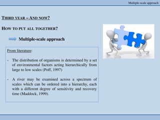 Multiple-scale approach	




THIRD YEAR – AND NOW?	

	

HOW TO PUT ALL TOGETHER?	

	

    	

 	

 Multiple-scale approach	


   From literature: 	

   	

   -  The distribution of organisms is determined by a set
       of environmental factors acting hierarchically from
       large to low scales (Poff, 1997)	


   -  A river may be examined across a spectrum of
      scales which can be ordered into a hierarchy, each
      with a different degree of sensitivity and recovery
      time (Maddock, 1999). 	

 