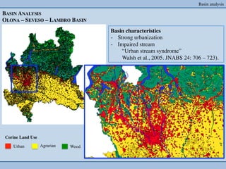 Basin analysis	


BASIN ANALYSIS	

OLONA – SEVESO – LAMBRO BASIN	

                                               Basin characteristics	

                                               -  Strong urbanization	

                                               -  Impaired stream 	

                                                   	

“Urban stream syndrome” 	

                                                   	

Walsh et al., 2005. JNABS 24: 706 – 723).	





 Corine Land Use 	


     Urban	

          Agrarian	

   Wood	

 