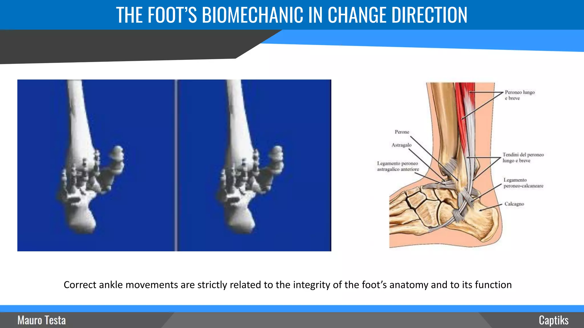 Captiks
THE FOOT’S BIOMECHANIC IN CHANGE DIRECTION
Correct ankle movements are strictly related to the integrity of the foot’s anatomy and to its function
 