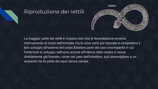 Riproduzione dei rettili
La maggior parte dei rettili è ovipara cioè che la fecondazione avviene
internamente al corpo dell'animale ma le uova sono poi deposte e completano il
loro sviluppo all'esterno del corpo Esistono però dei casi ovoviviparità in cui
l'embrione si sviluppa nell'uovo ancora all'interno della madre e nasce
direttamente già formato, come nel caso dell'orbettino, può assomigliare a un
serpente ma fa parte dei sauri senza zampe.
orbettino
 