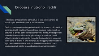 Di cosa si nutrono i rettili
i rettili sono principalmente carnivori, e le loro prede variano da
piccoli topi a mucche in base al tipo di animale
Esistono comunque molte specie di rettili che si nutrono di insetti. In
generale, i rettili insettivori hanno lingue lunghe e molto mobili per
catturare le prede, come fanno i camaleonti. Inoltre, molte specie di
lucertole si nutrono di mosche, piccoli ragni e formiche. I rettili
erbivori mangiano solo piante. Nonostante siano i meno numerosi,
ce ne sono di diversi in tutto il mondo. La maggior parte dei rettili in
ogni caso sono cacciatori e alcuni velenosi o costrittori, che li
rendono animali esotici e non ideali come animali domestici.
 