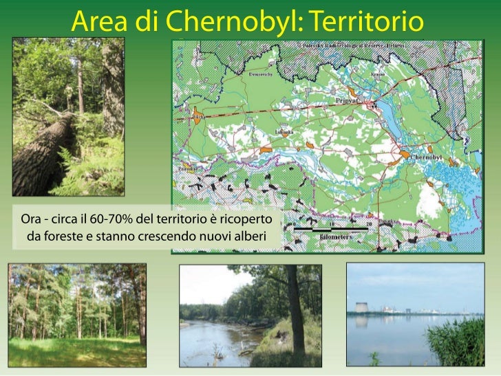 Sergey Gashchak Ecology Of The Chernobyl Zone